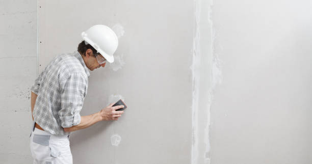 Best Ceiling Painting Services  in Country Clu, CA